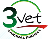 3VET - Original Project - Cabinet veterinar